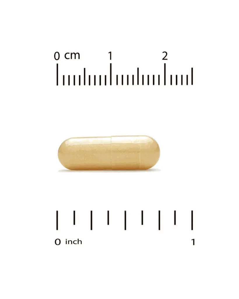 A0219-3.webp